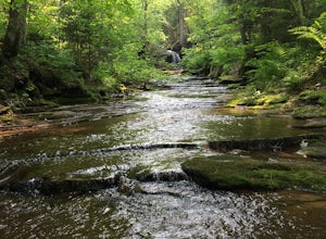 Hike to Lost Creek Falls 