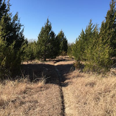 Hike Sister Groves Trail