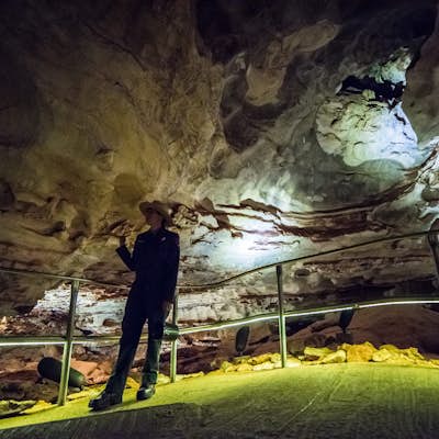 Tour Wind Cave