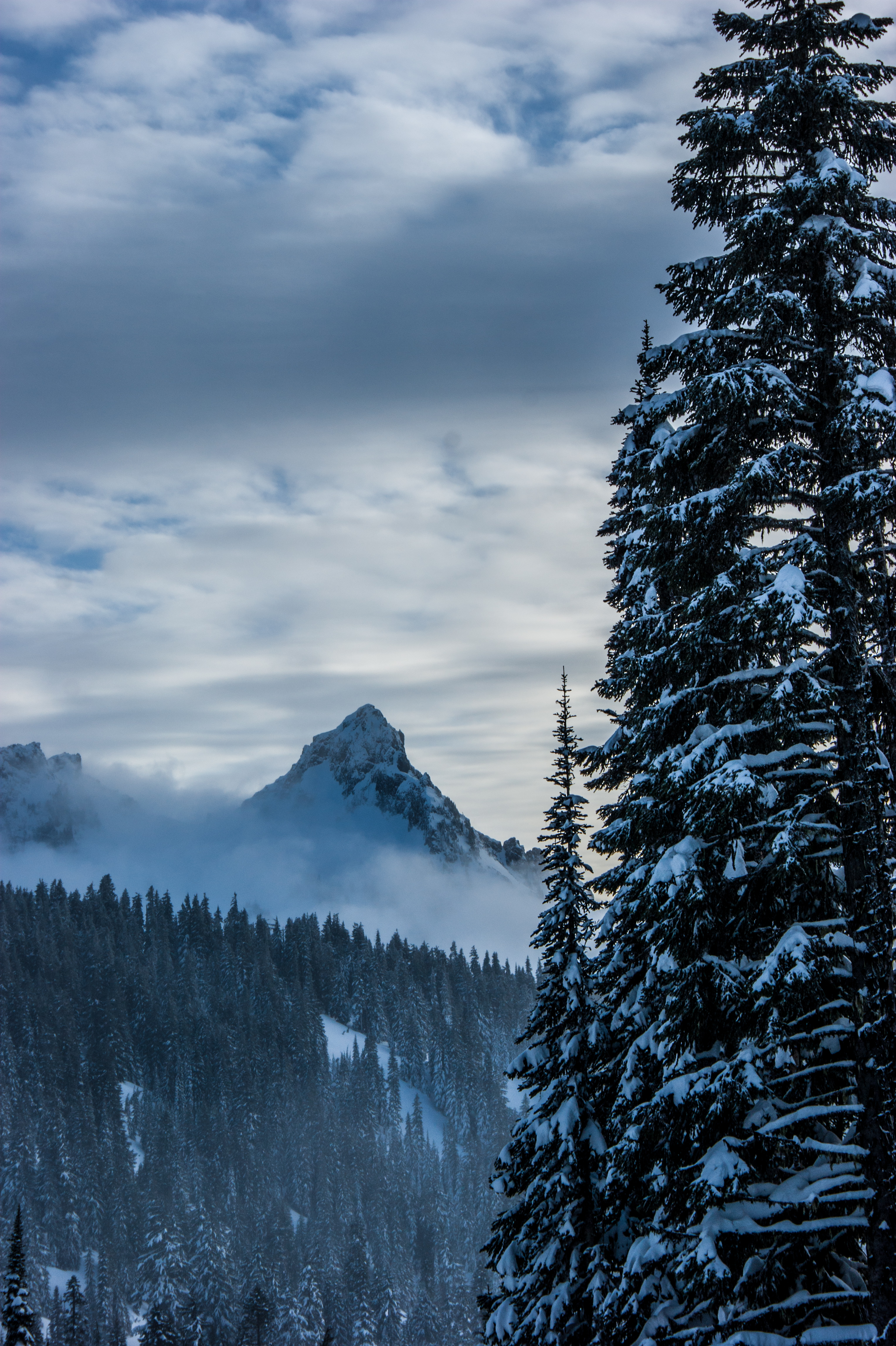 Mazama Ridge via Skyline Trail