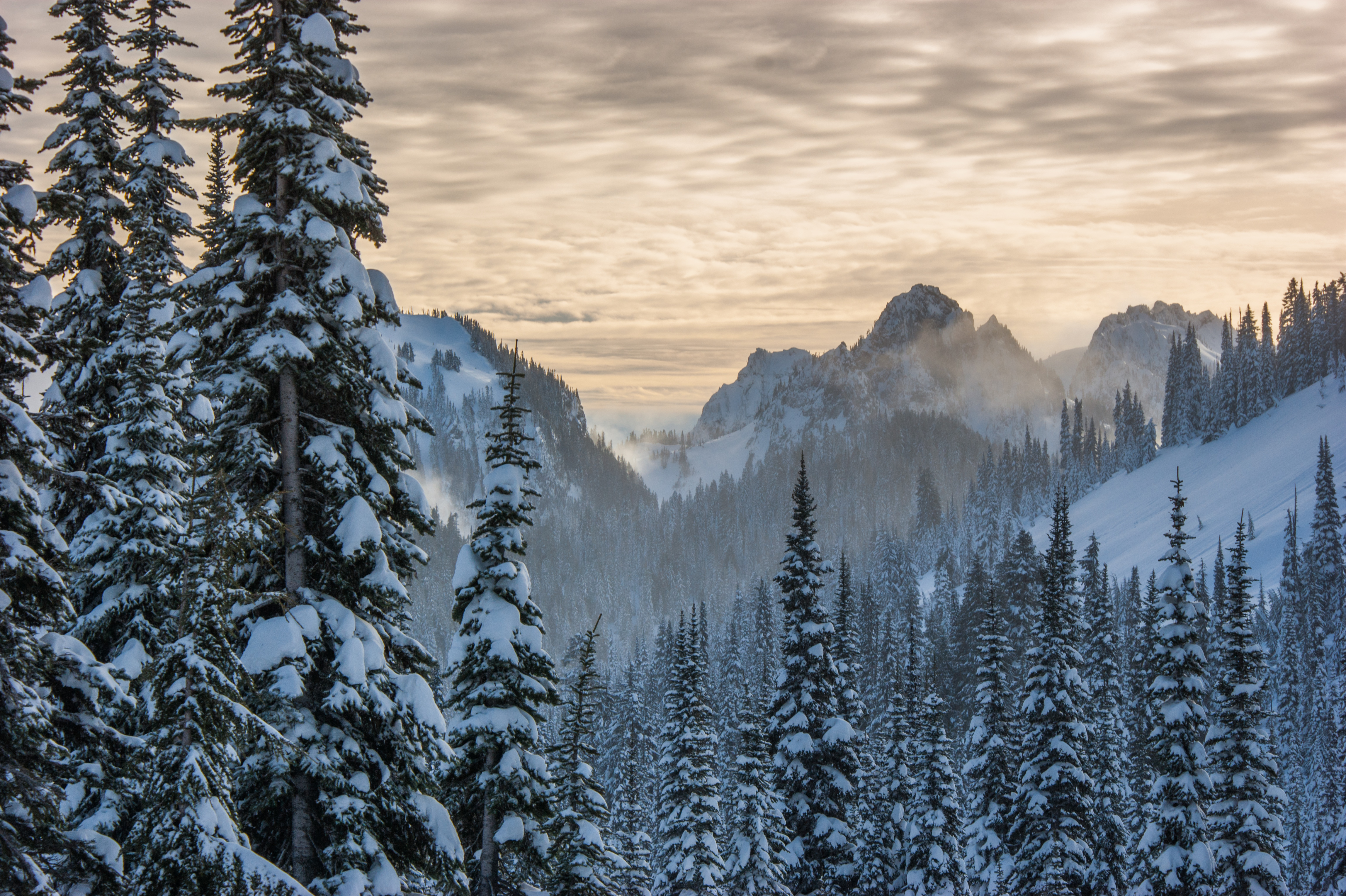 Mazama Ridge via Skyline Trail