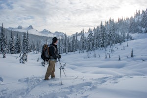 Snowshoe or Ski to Mazama Ridge