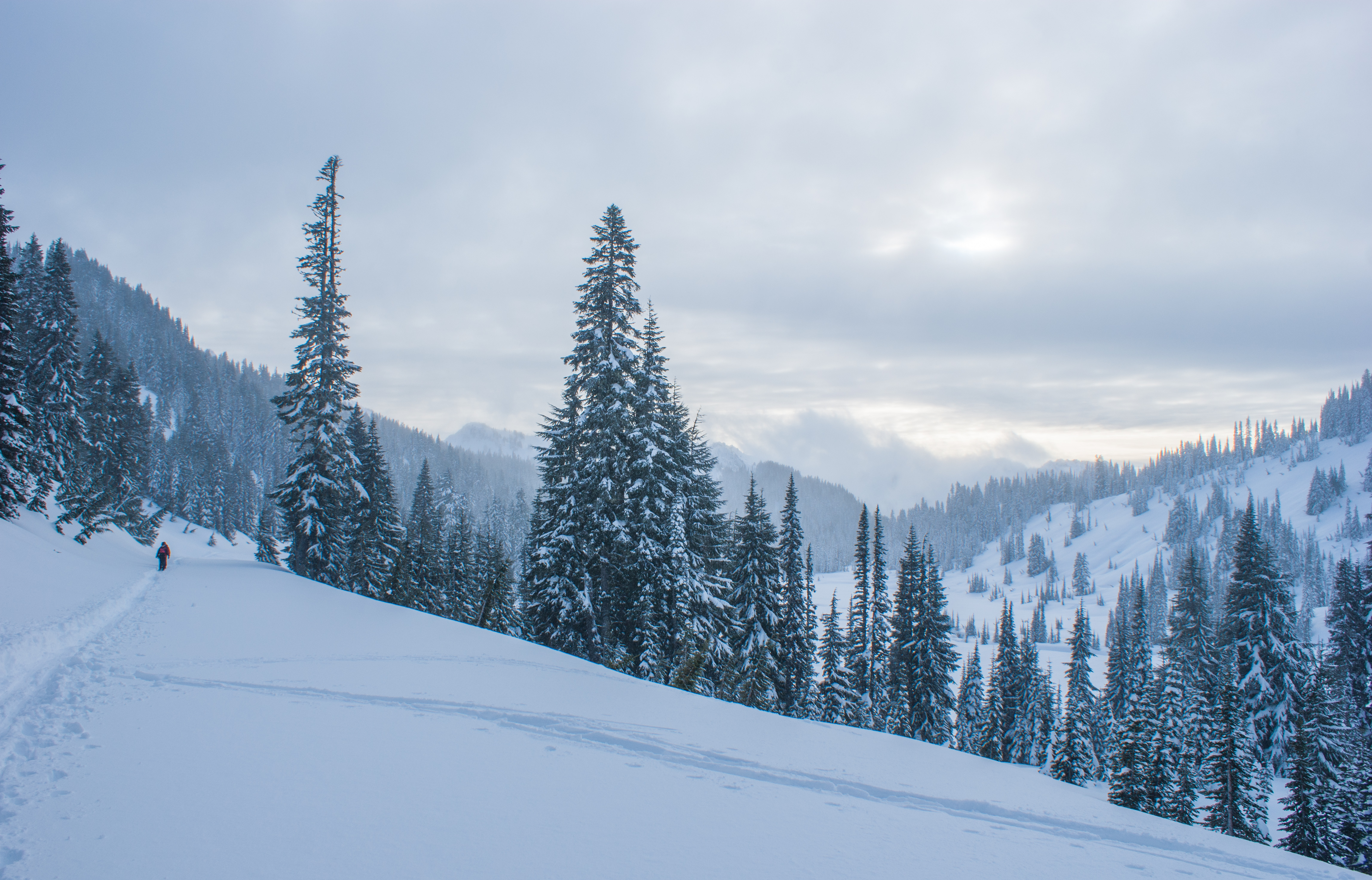 Mazama Ridge via Skyline Trail