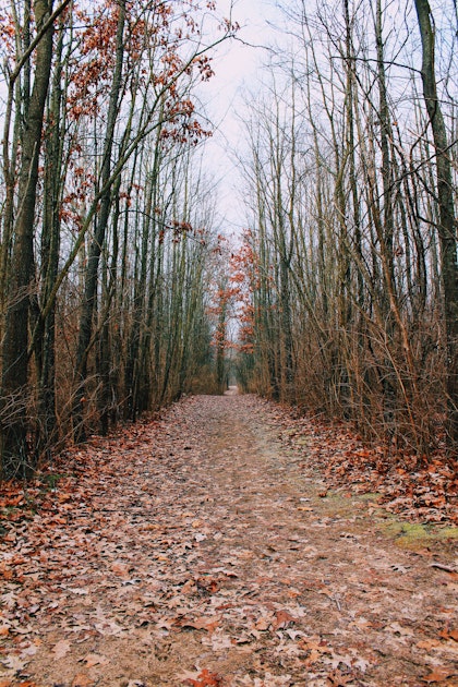Hike the Sodalis Nature Park Loop, Plainfield, Indiana