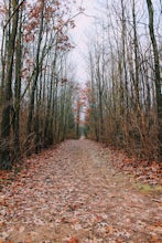 Hike the Sodalis Nature Park Loop