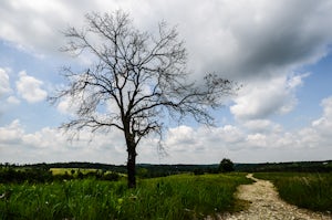Soldiers Delight Loop