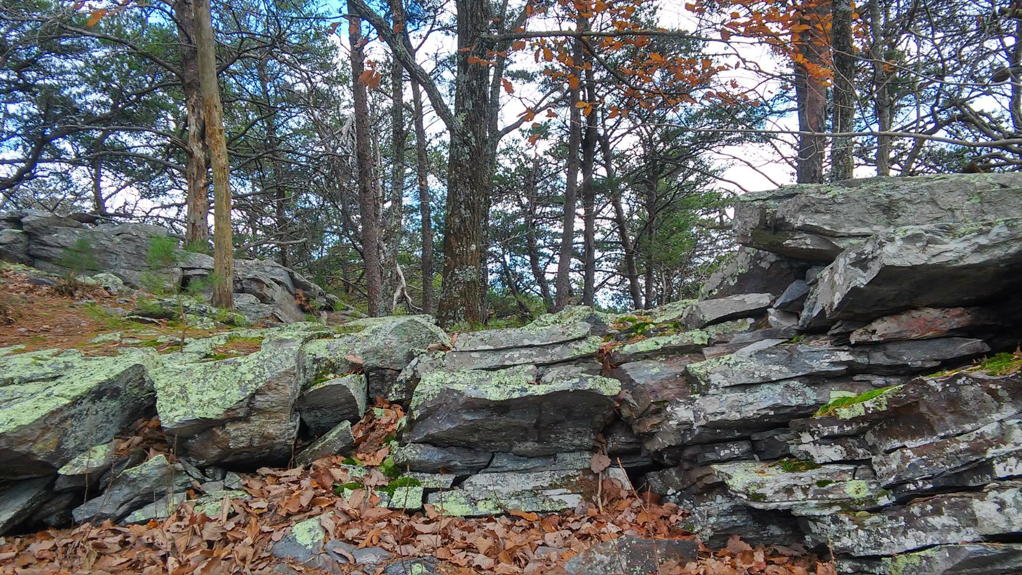 Hike to Pulpit Rock