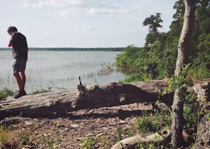 Camp at Lake Somerville: Nail's Creek