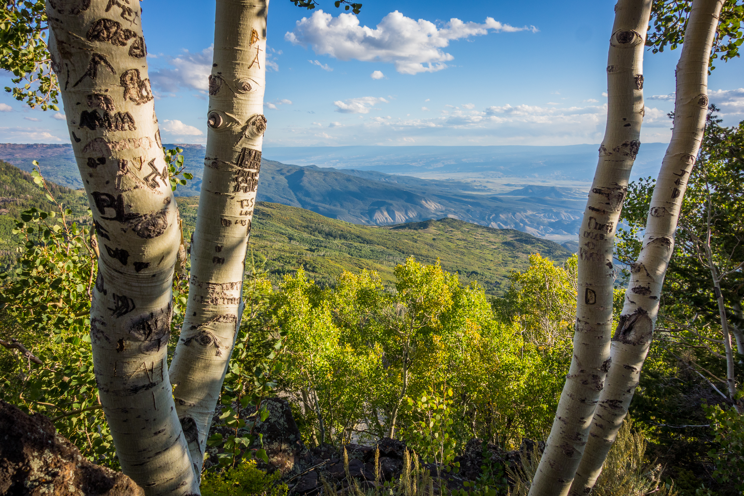 Grand Mesa Scenic Byway