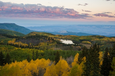 Photograph Fall Colors on Grand Mesa, Skyway Point