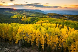 Photograph Fall Colors on Grand Mesa