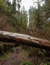 Short Hike to Munson Creek Falls