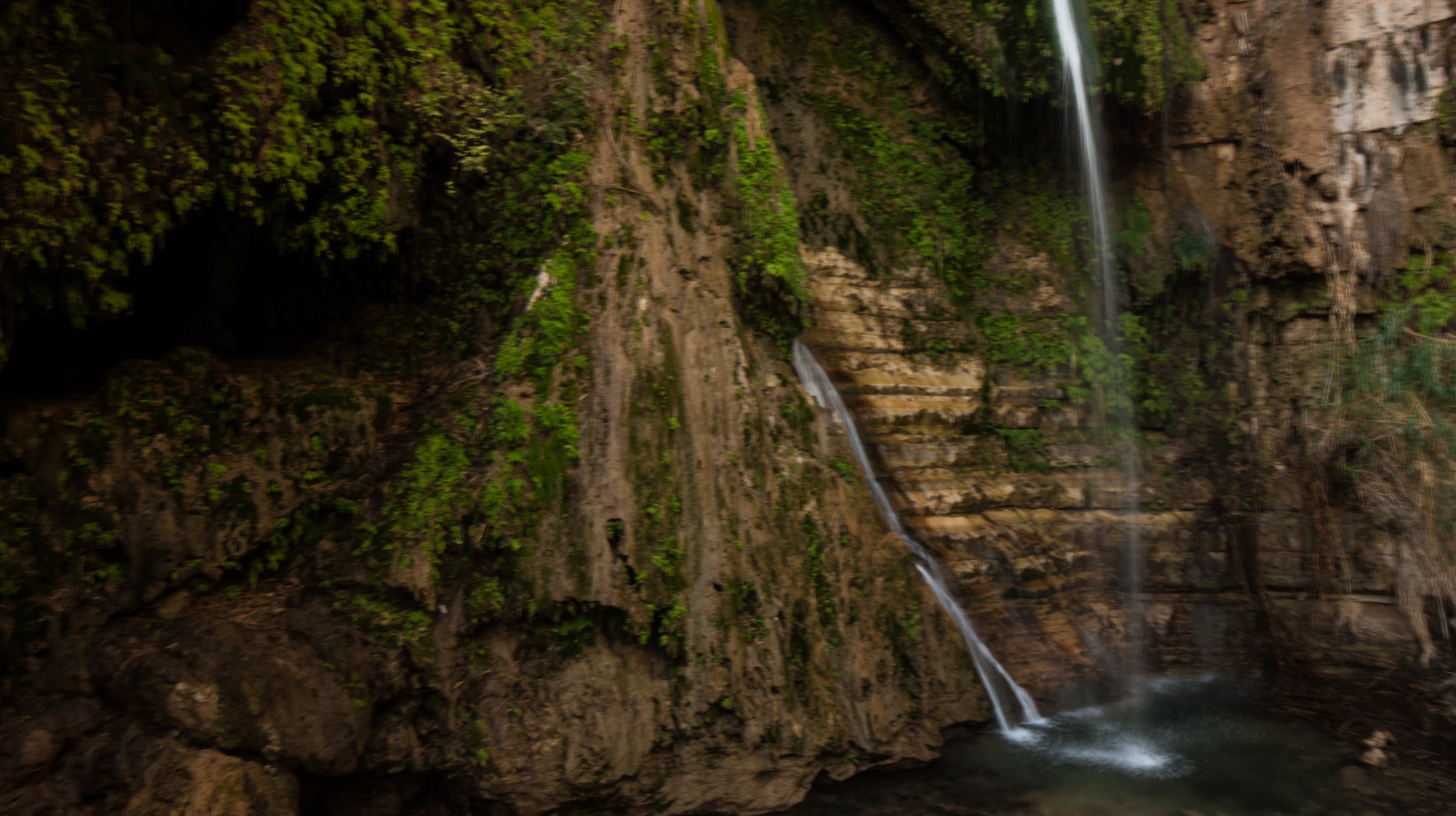 Hike through Ein Gedi Nature Reserve