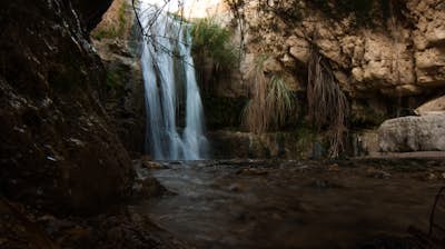 Hike through Ein Gedi Nature Reserve