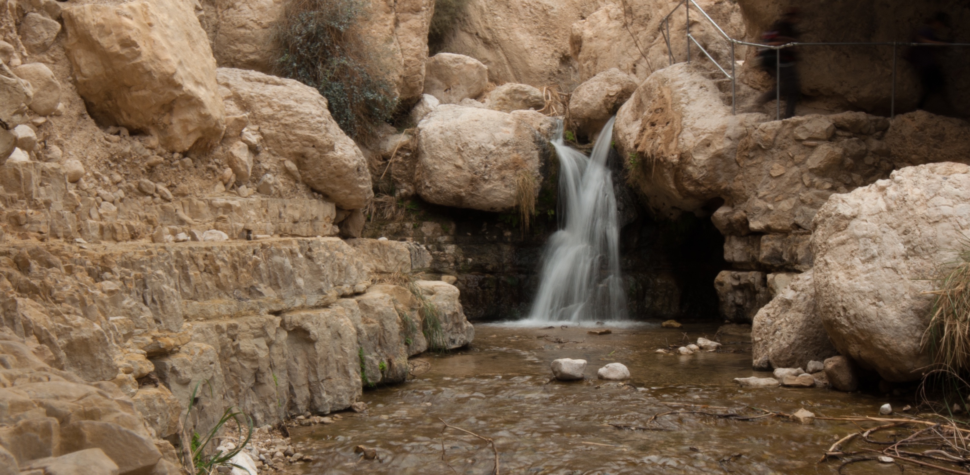 Hike through Ein Gedi Nature Reserve