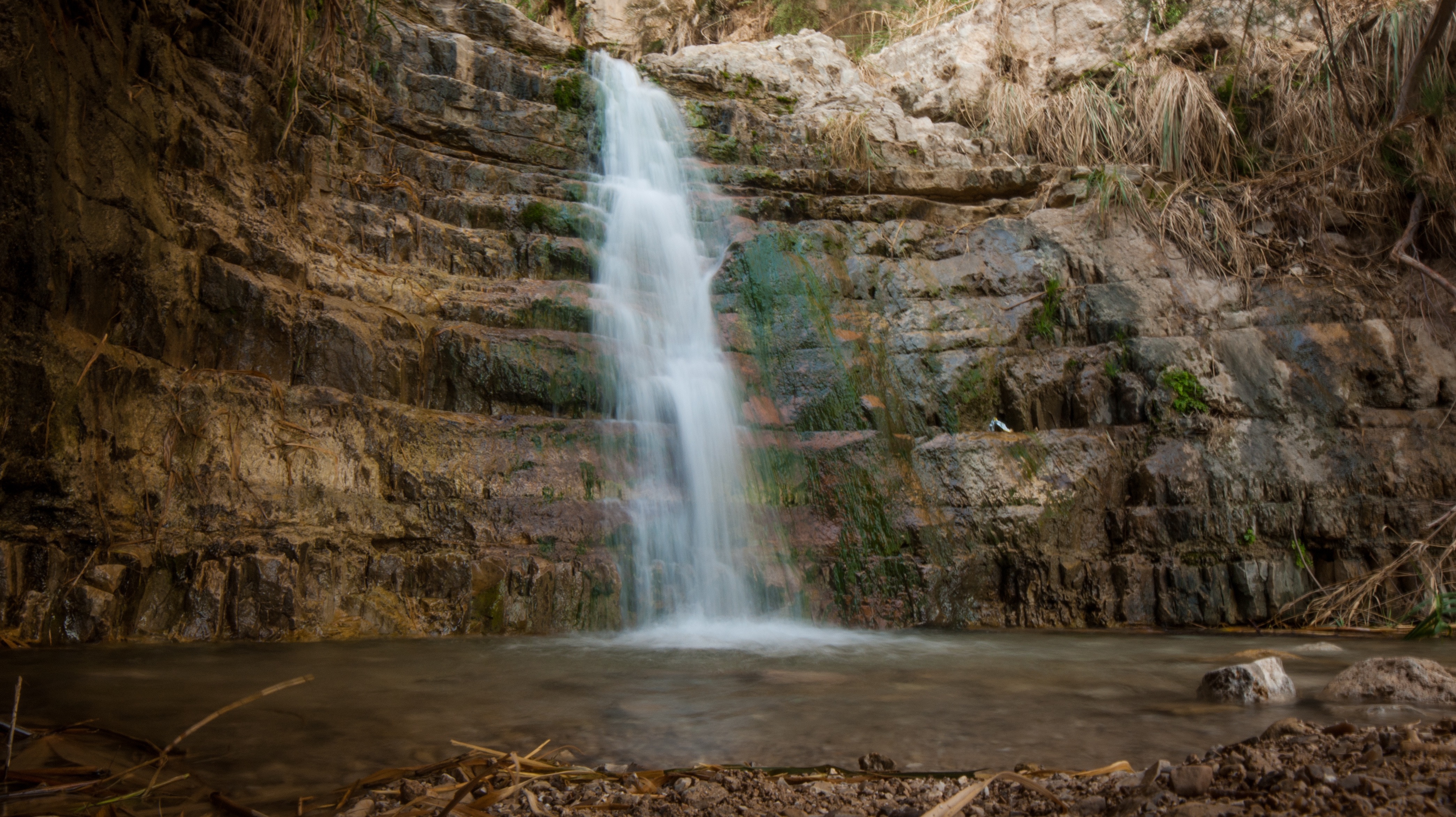 Hike through Ein Gedi Nature Reserve