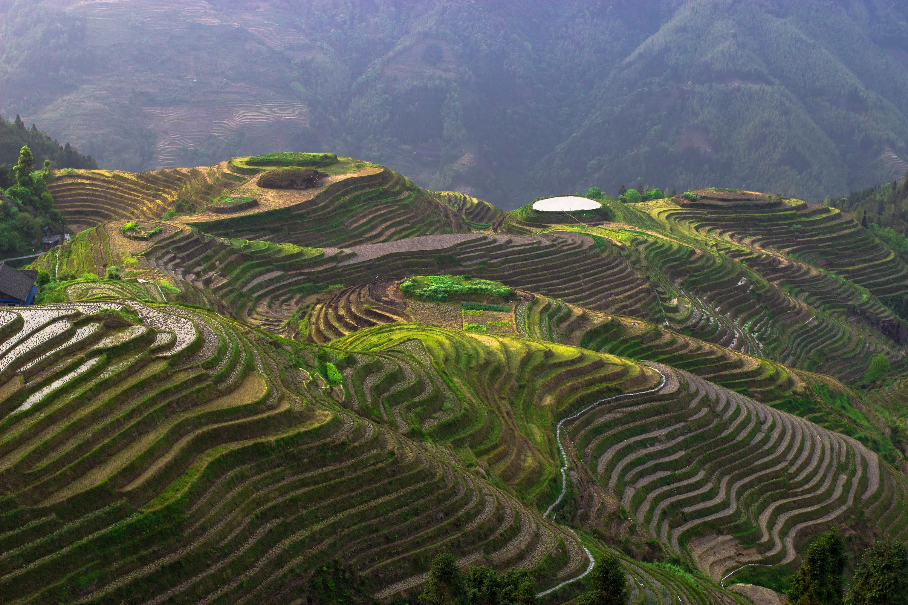 Hike the Longji Rice Terraces