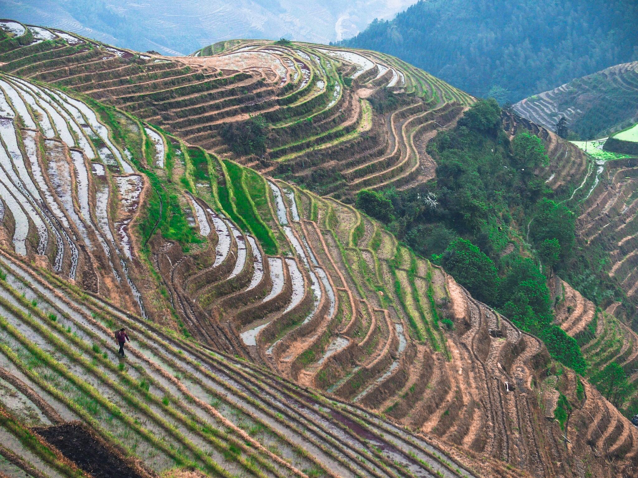 Hike the Longji Rice Terraces