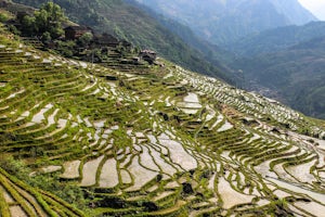 Hike the Longji Rice Terraces