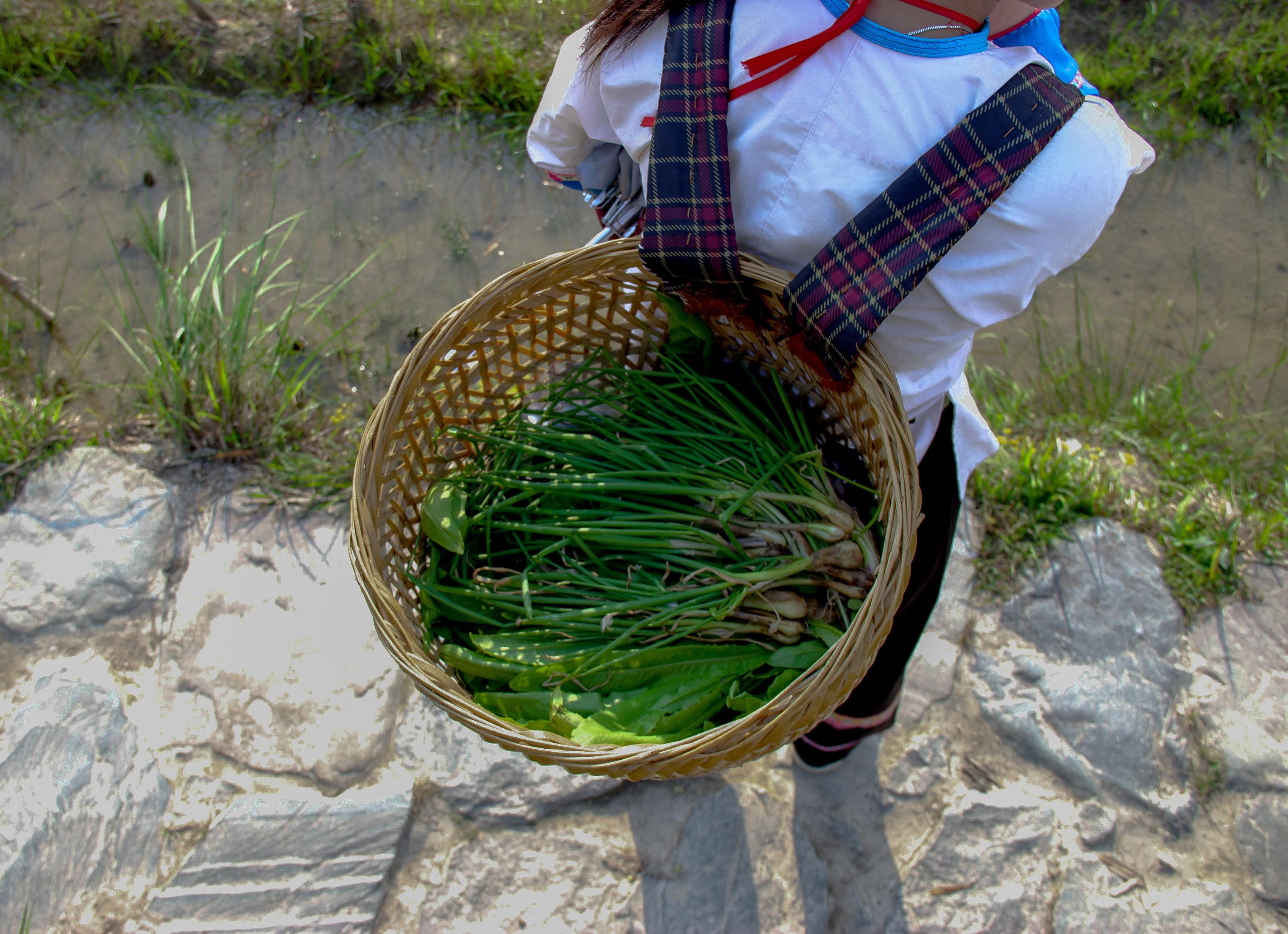 Hike the Longji Rice Terraces