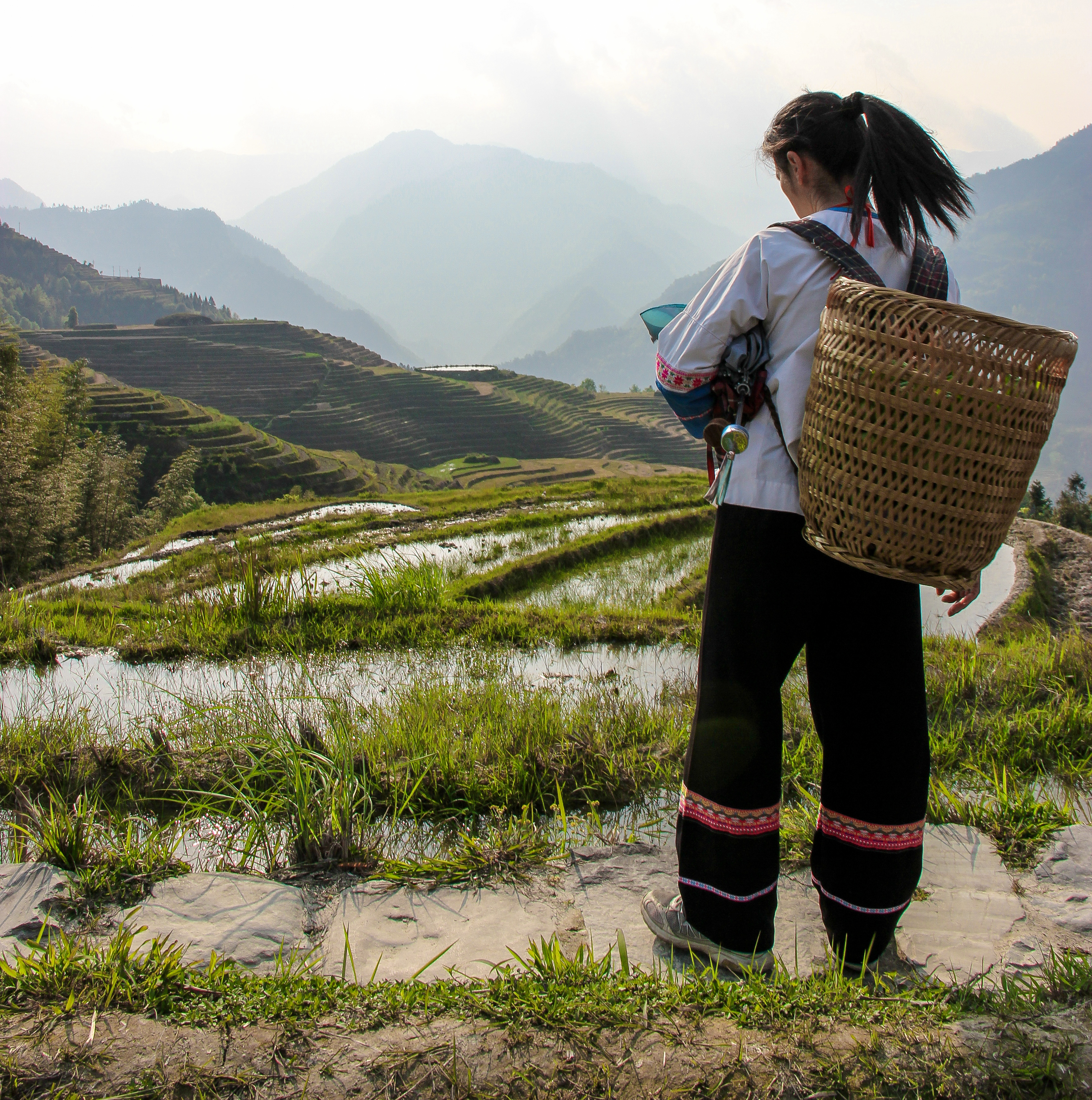 Hike the Longji Rice Terraces