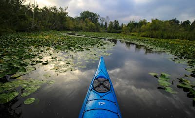 Kayak the Washington Arboretum Loop