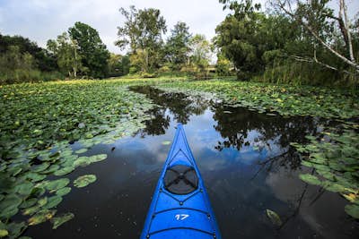 Kayak the Washington Arboretum Loop