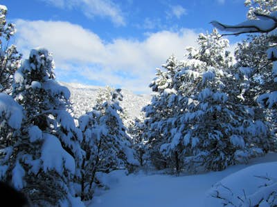 Snowshoe to Mt. Colorow Overlook 