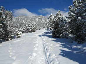 Snowshoe to Mt. Colorow Overlook 