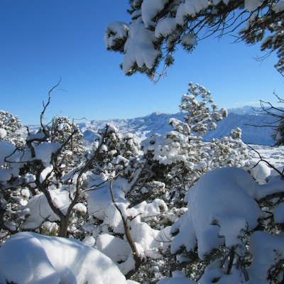 Snowshoe to Mt. Colorow Overlook 
