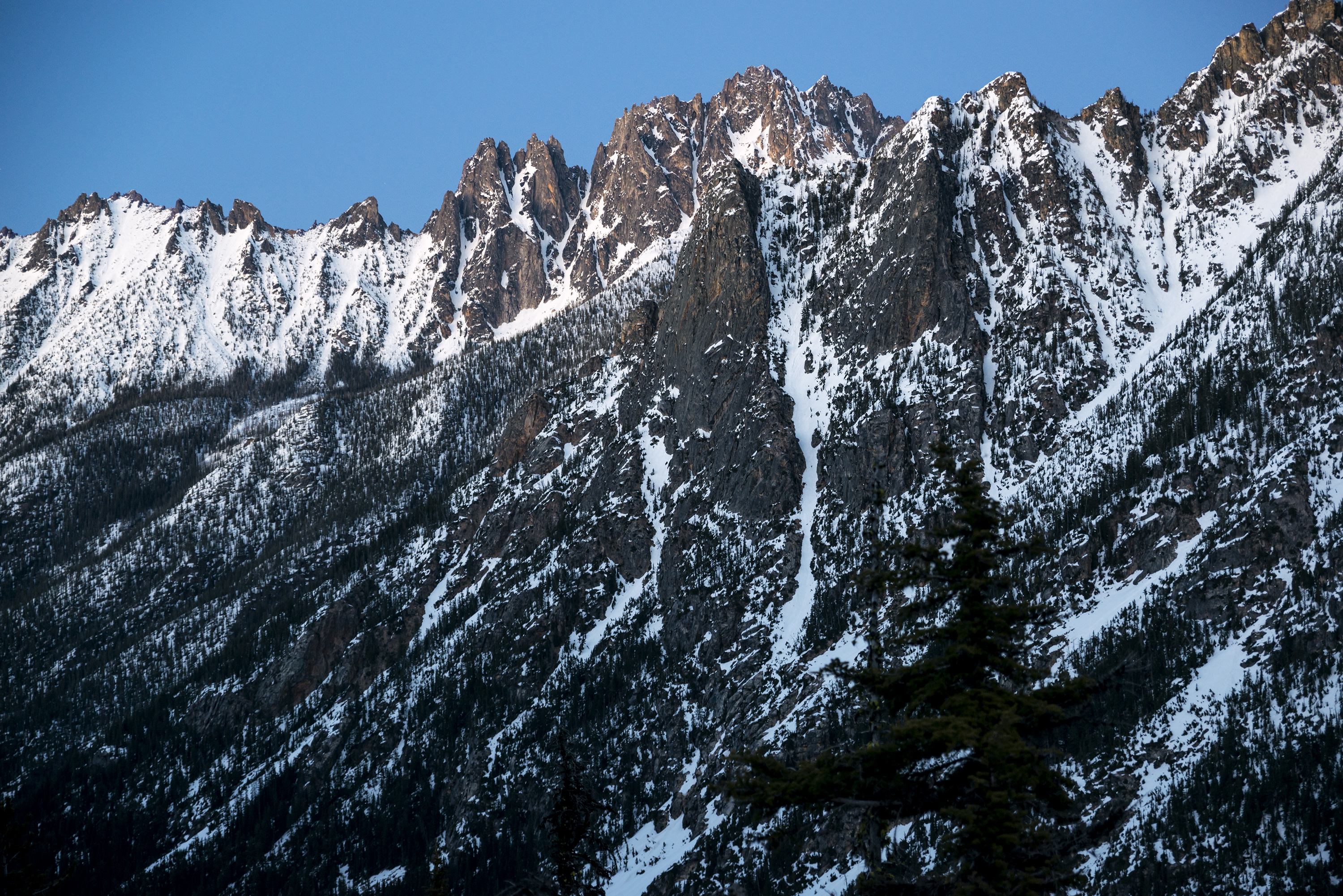 Ski Washington Pass