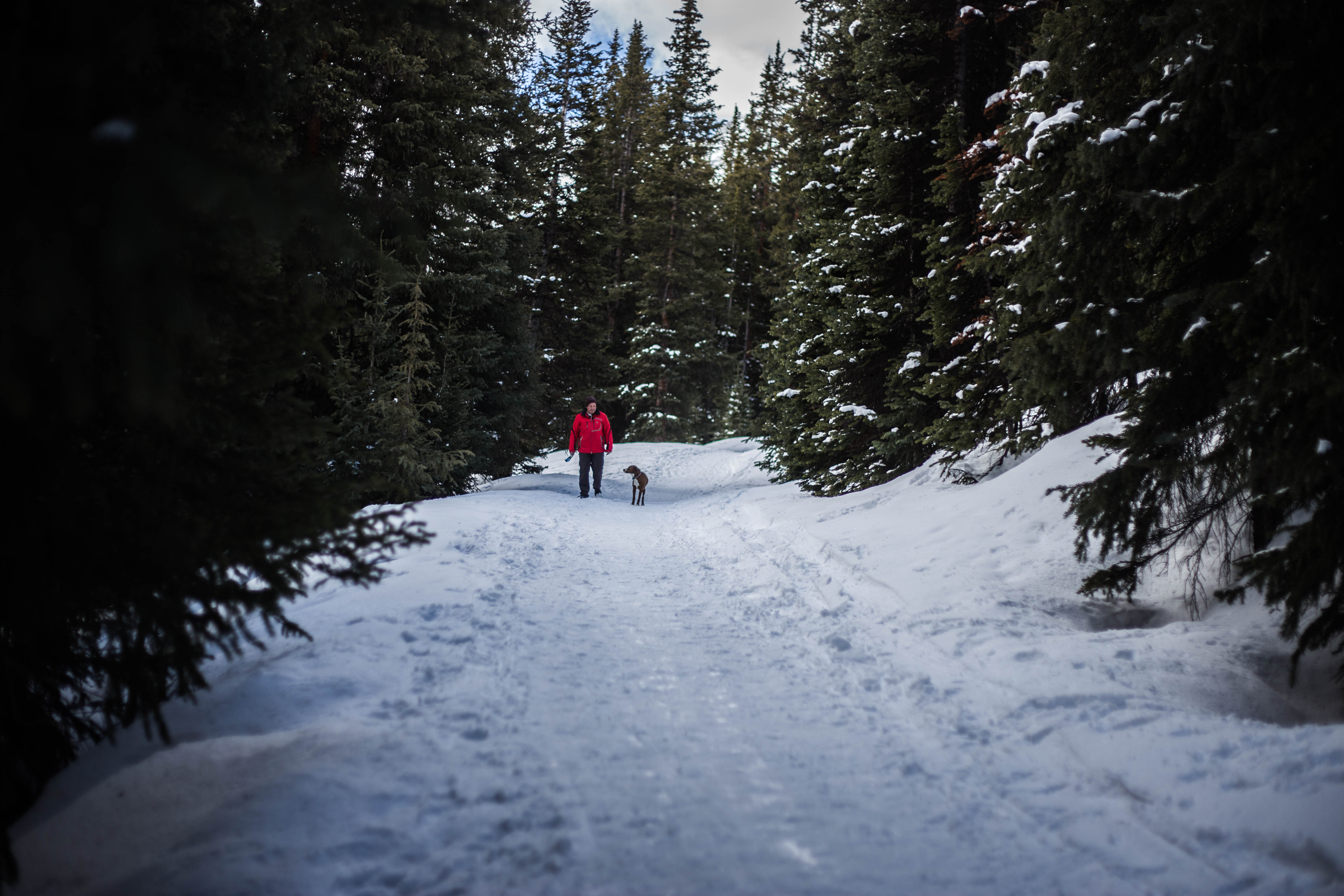 Boston Mine via Mayflower Gulch Trail