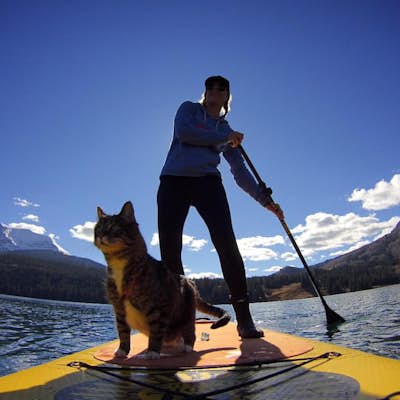 Stand Up Paddle at Trout Lake