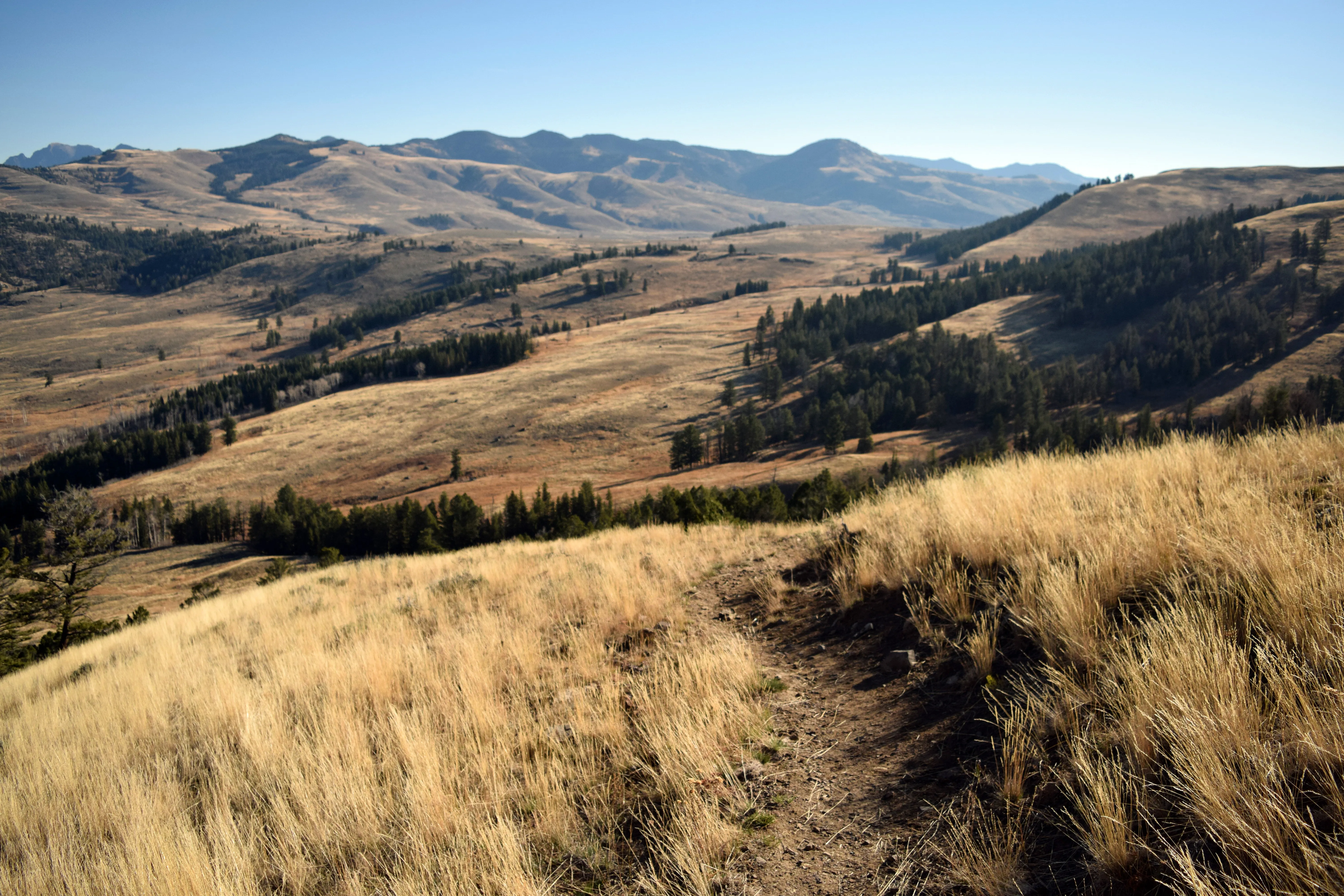 Lamar Valley Outlook near Specimen Ridge
