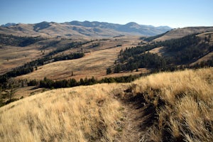 Lamar Valley Outlook near Specimen Ridge