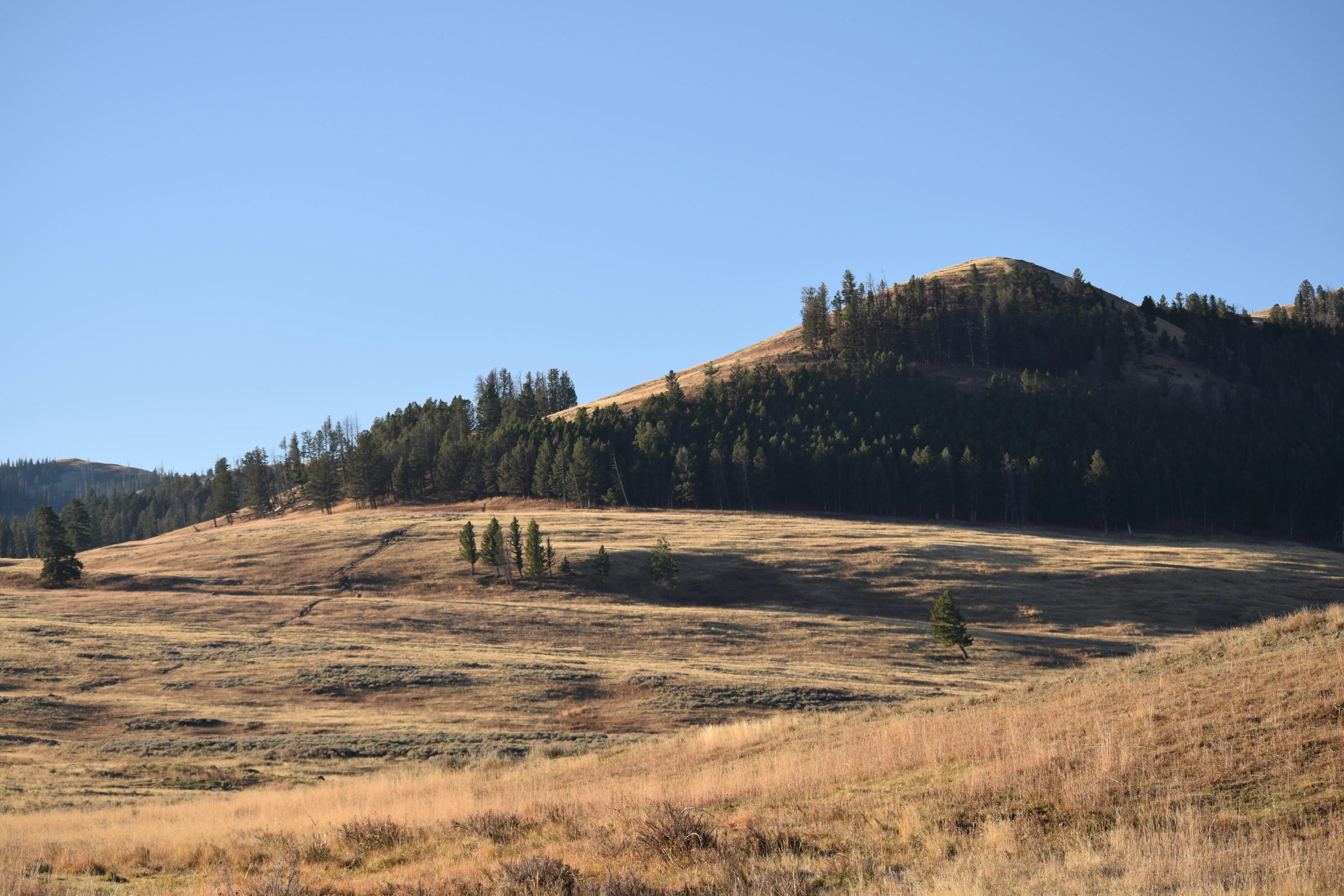 Lamar Valley Outlook near Specimen Ridge