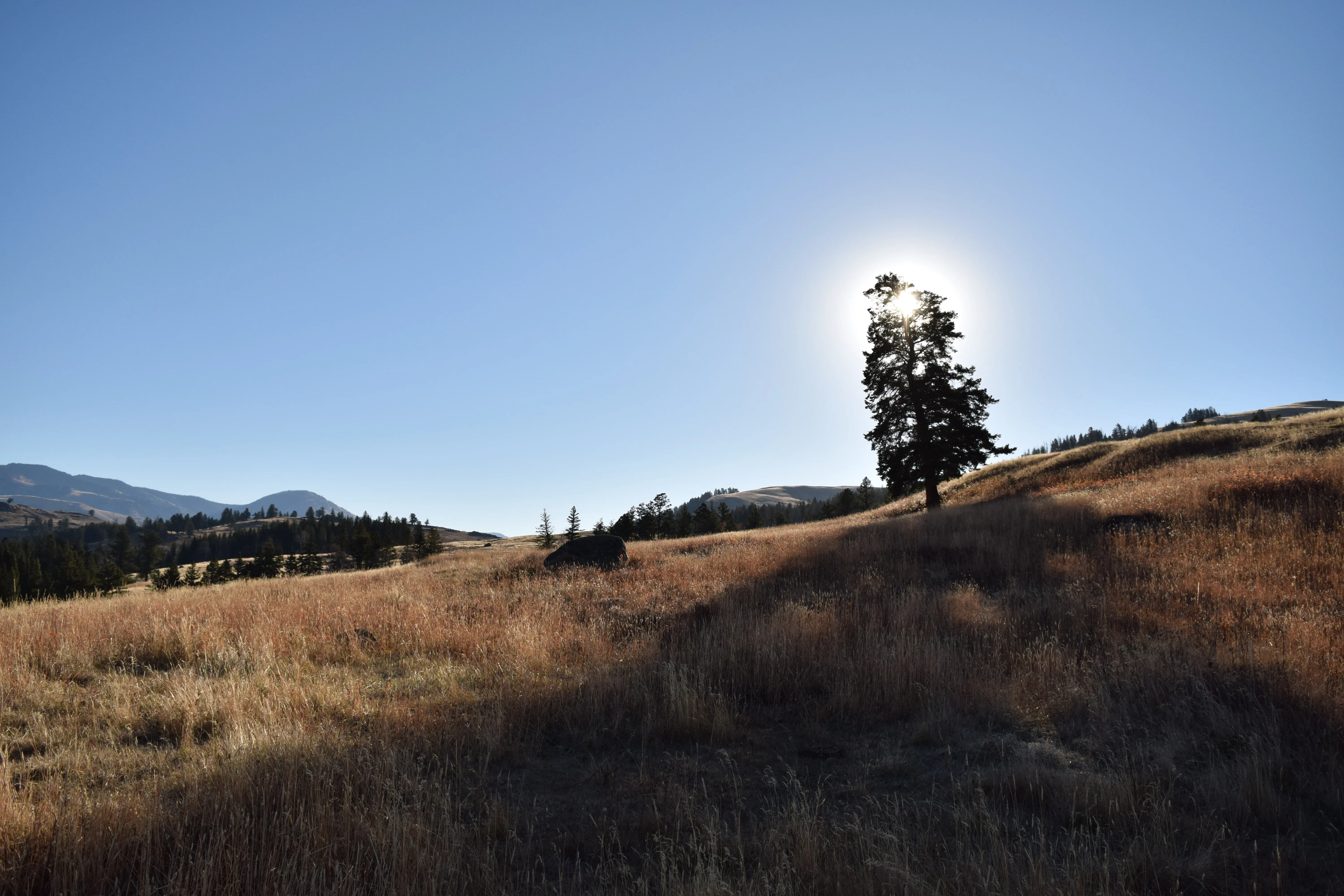 Lamar Valley Outlook near Specimen Ridge