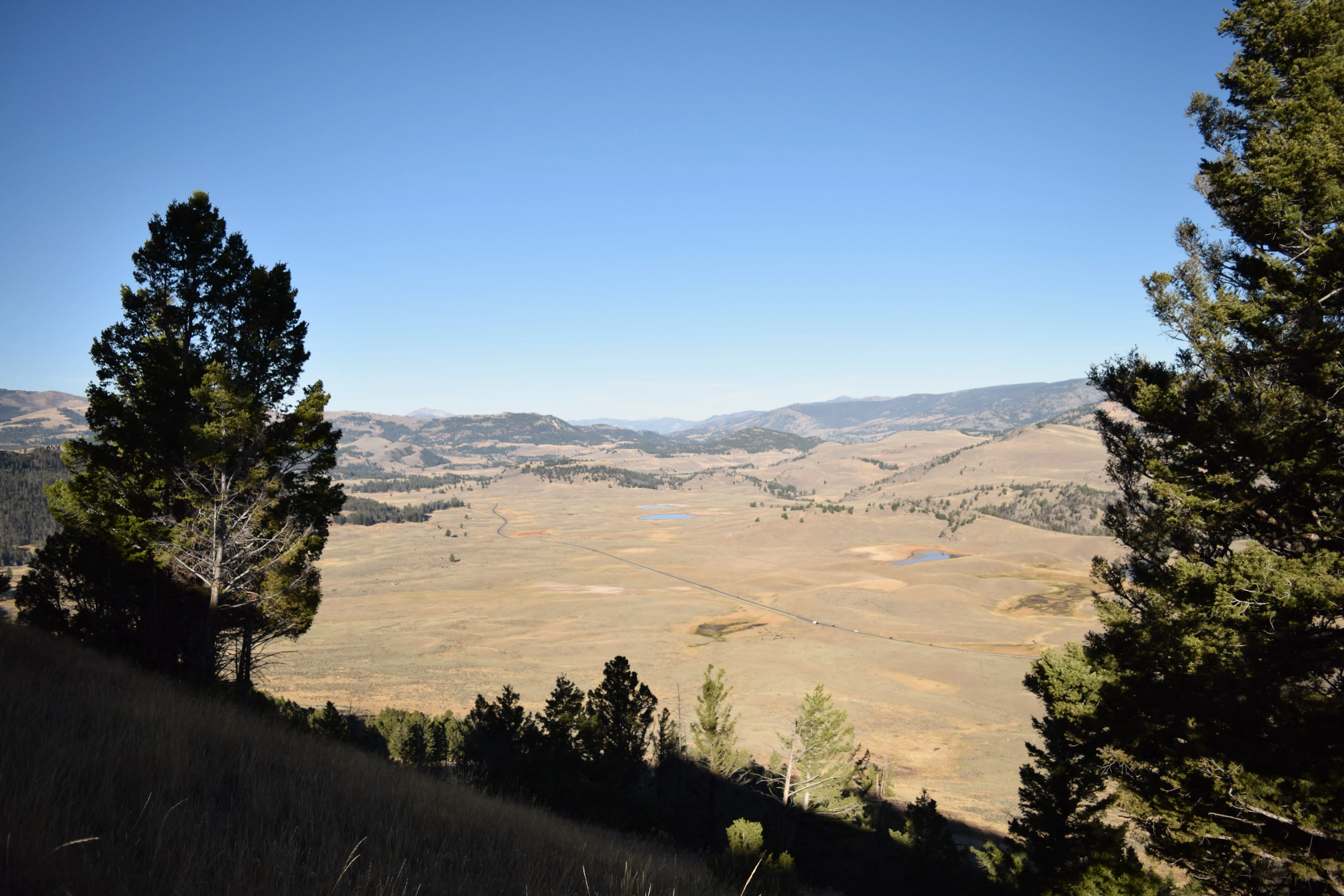 Lamar Valley Outlook near Specimen Ridge