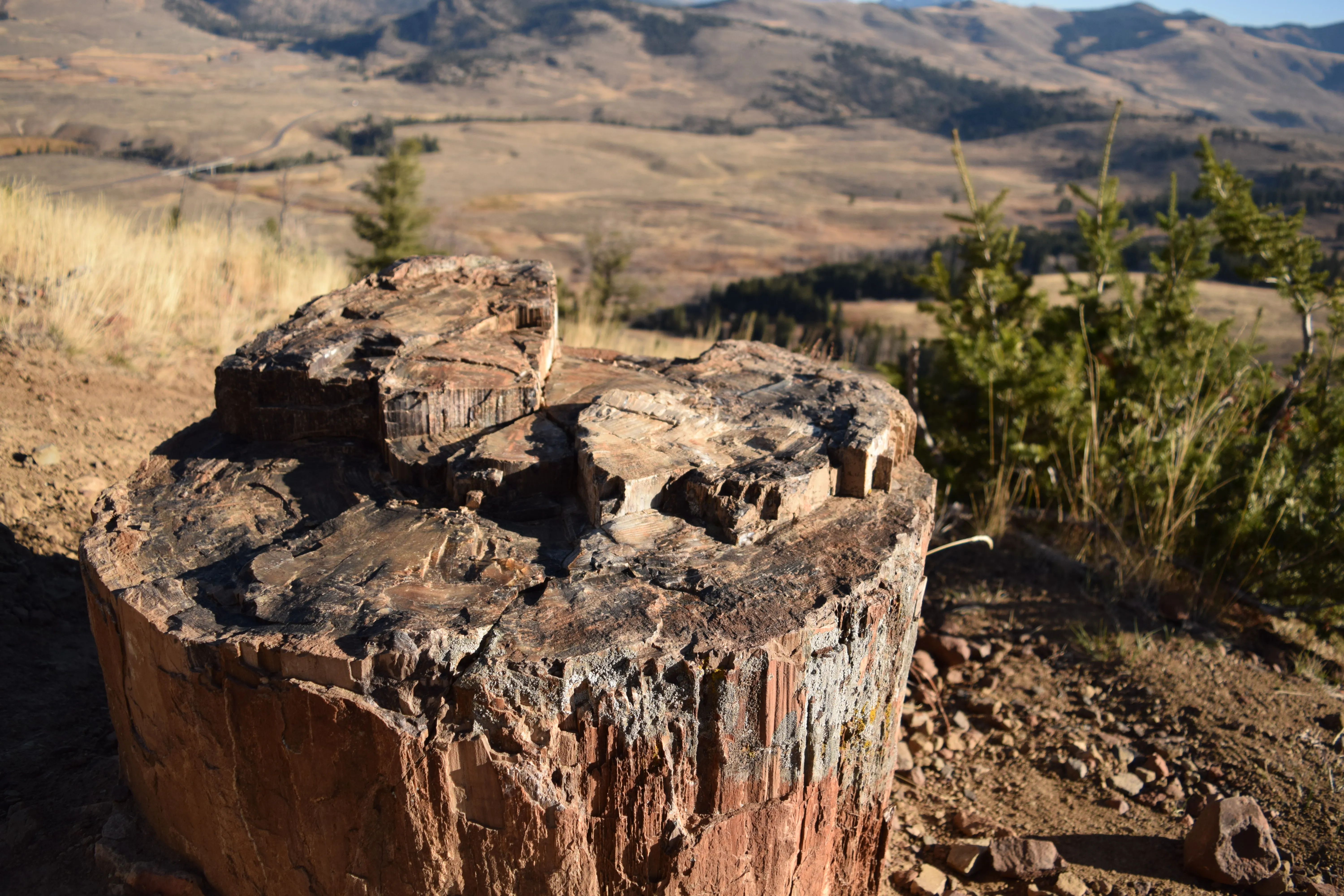 Lamar Valley Outlook near Specimen Ridge
