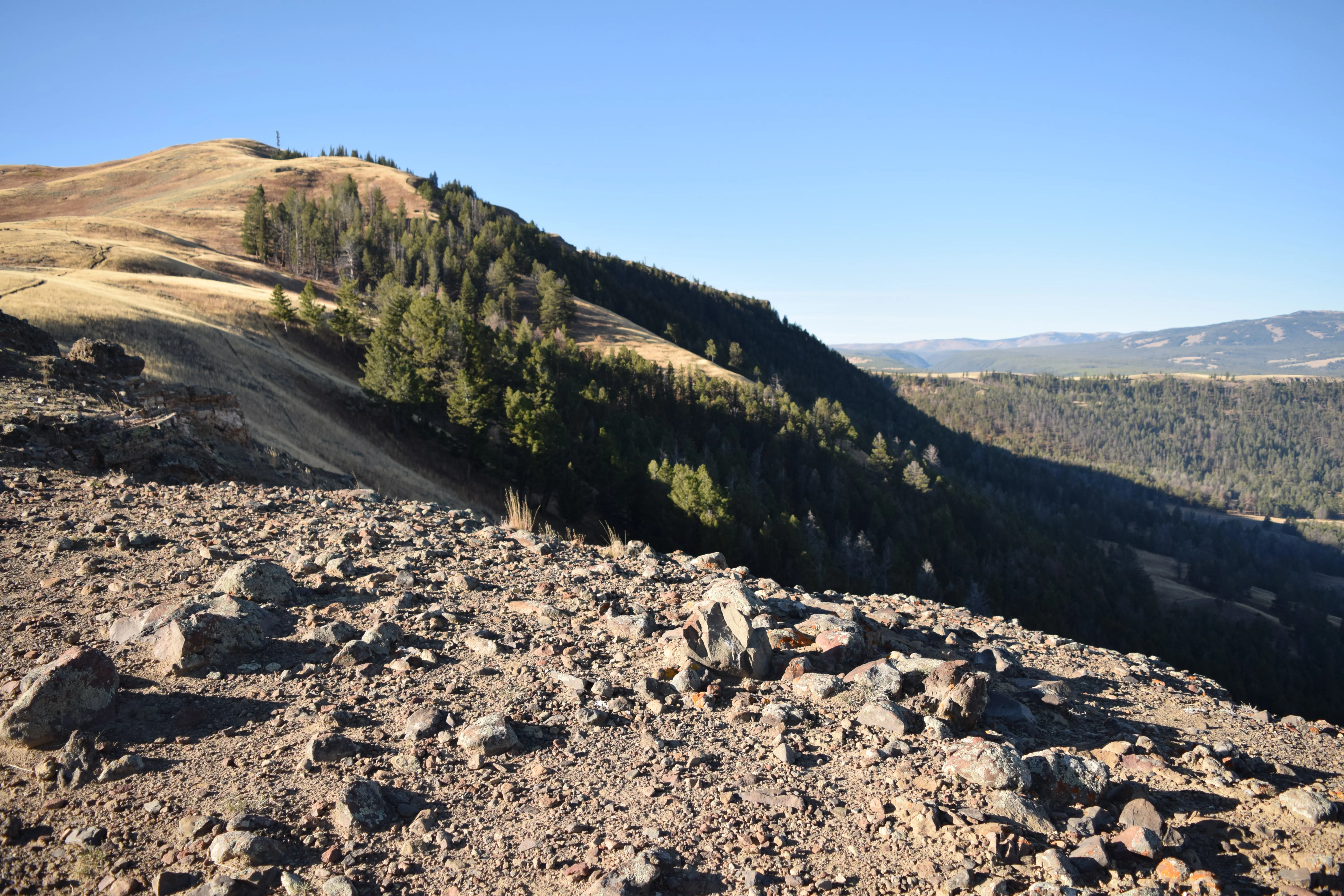 Lamar Valley Outlook near Specimen Ridge