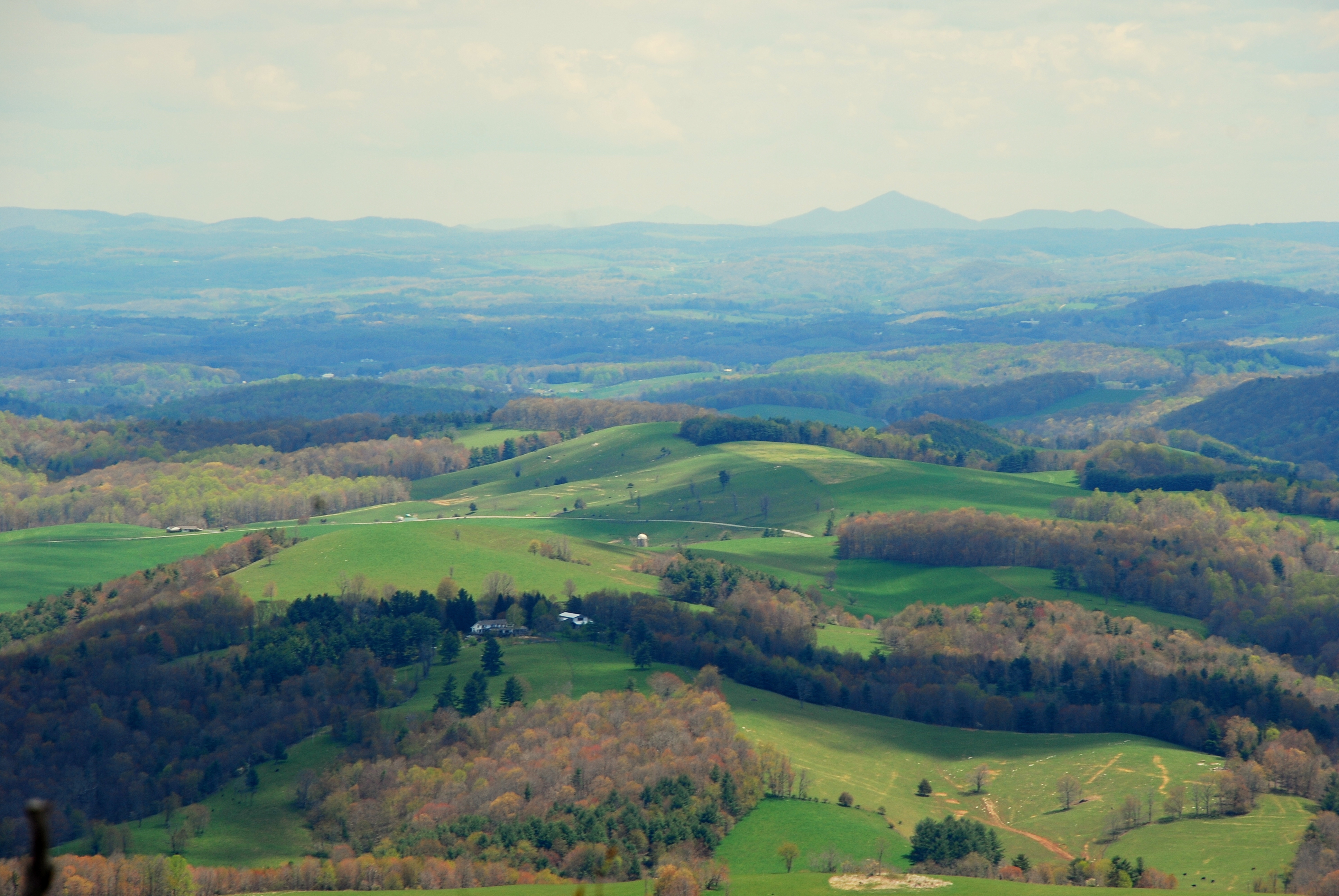 Buffalo Mountain Loop