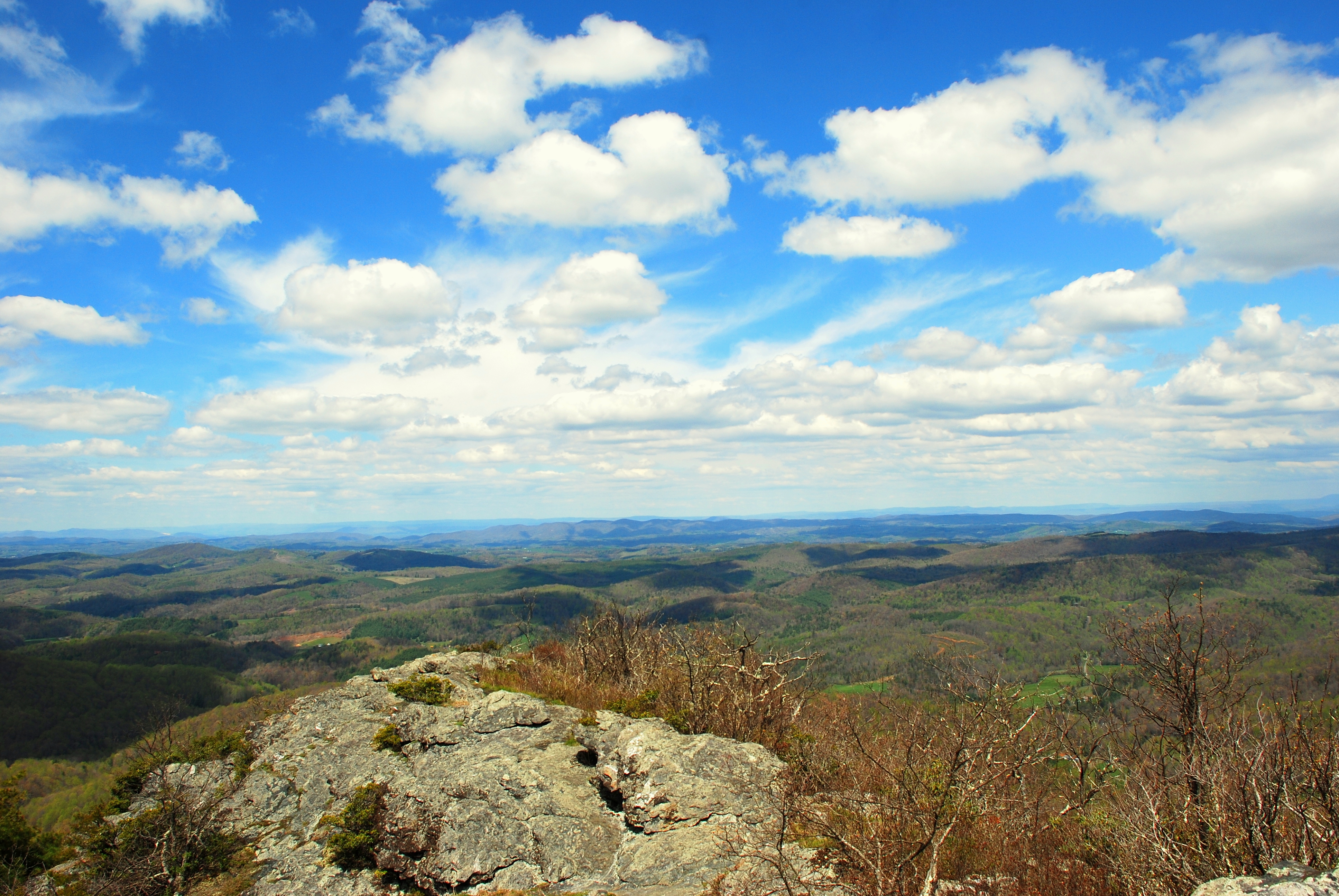 Buffalo Mountain Loop