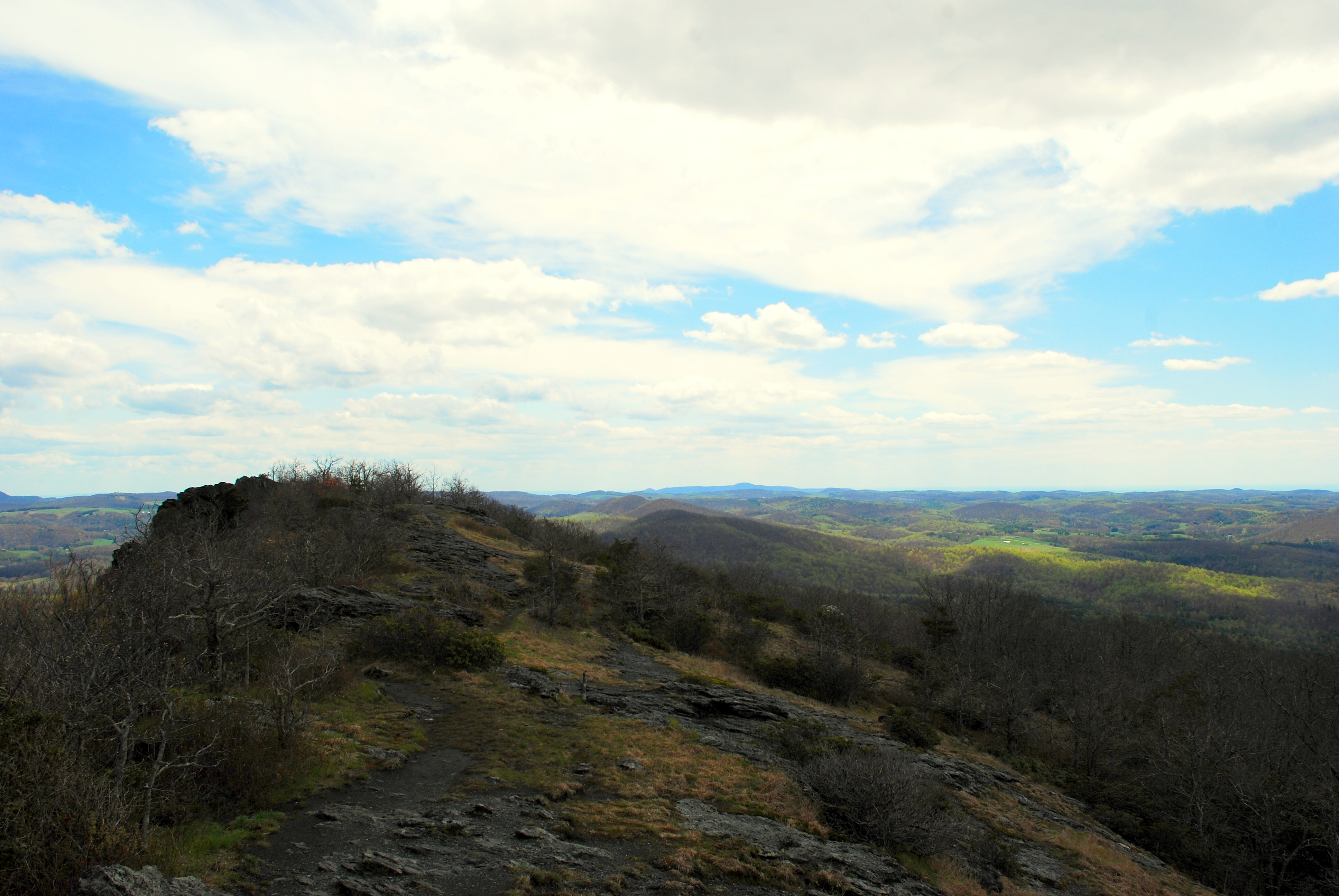 Buffalo Mountain Loop