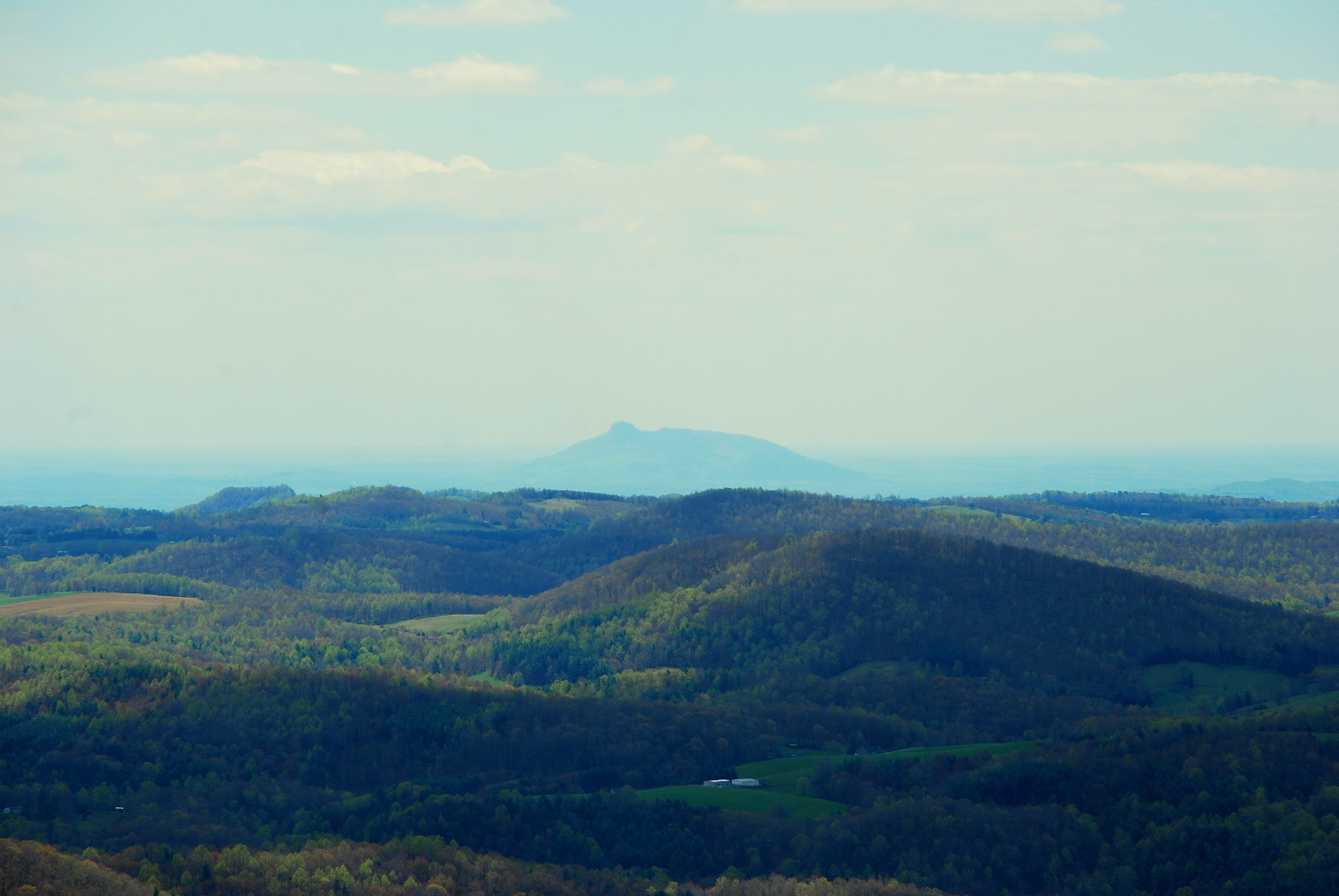 Buffalo Mountain Loop