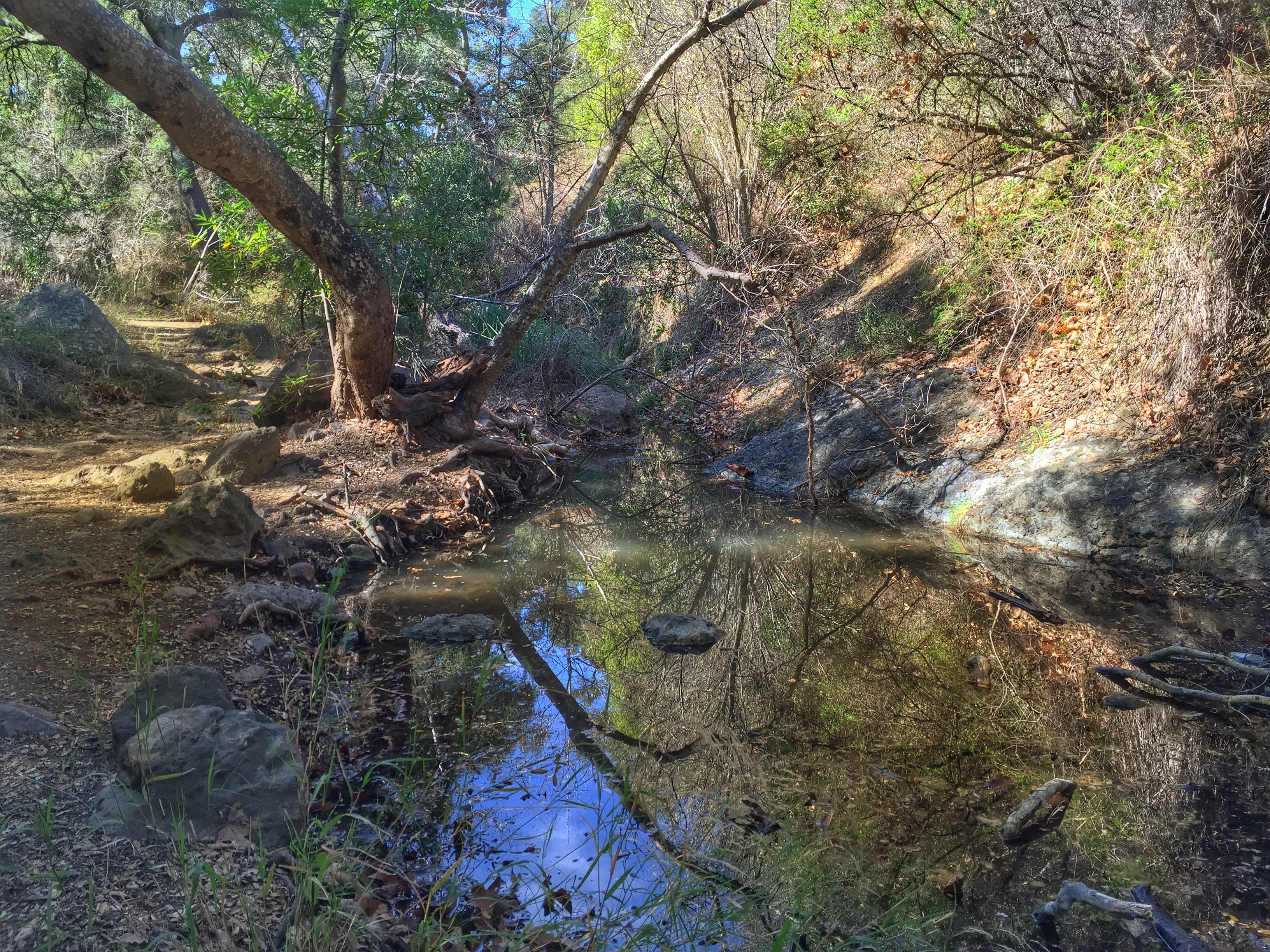 Grotto Trail