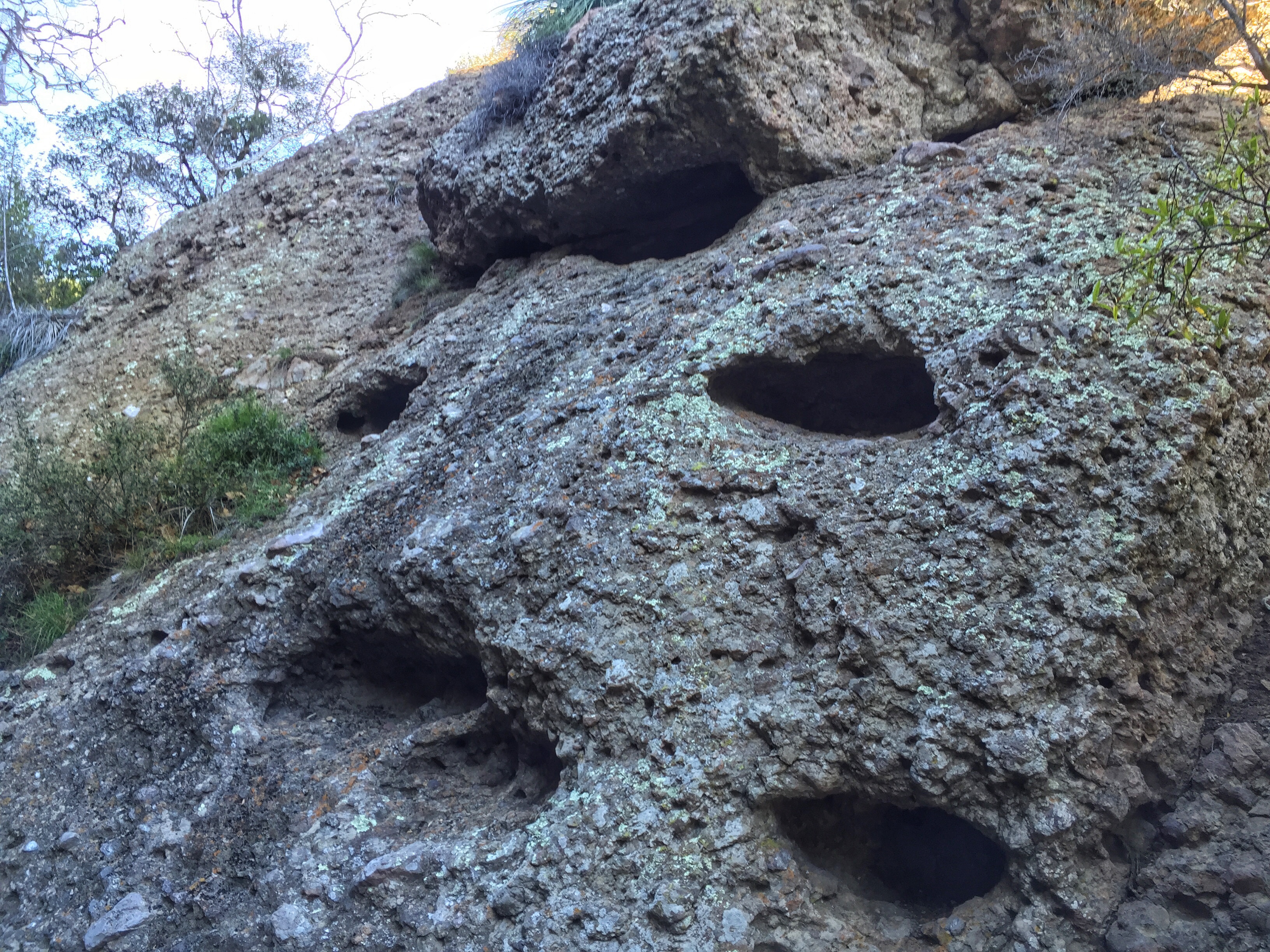 Grotto Trail