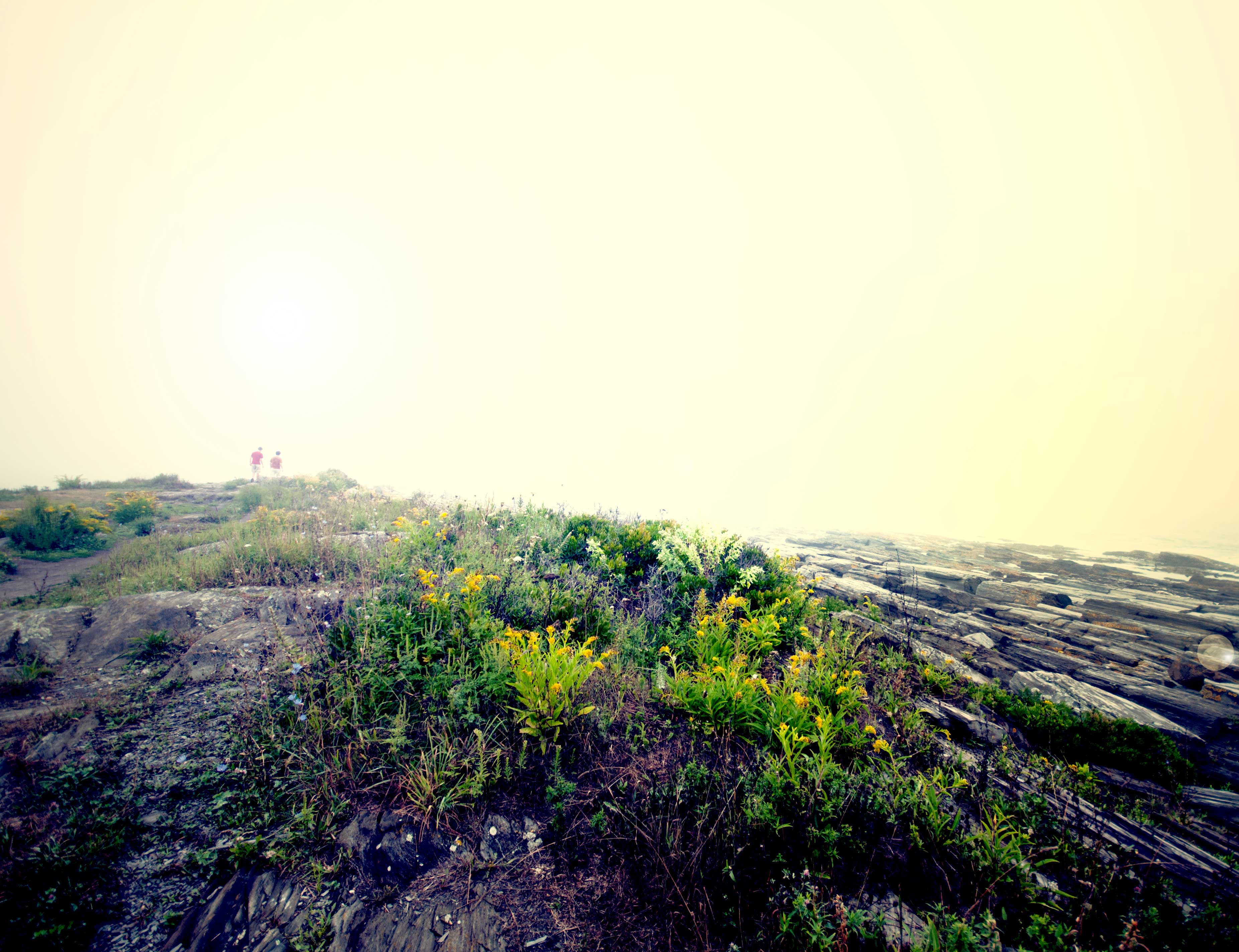 Hike around Cape Elizabeth's Dyer Cove