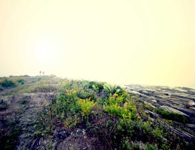 Hike around Cape Elizabeth's Dyer Cove