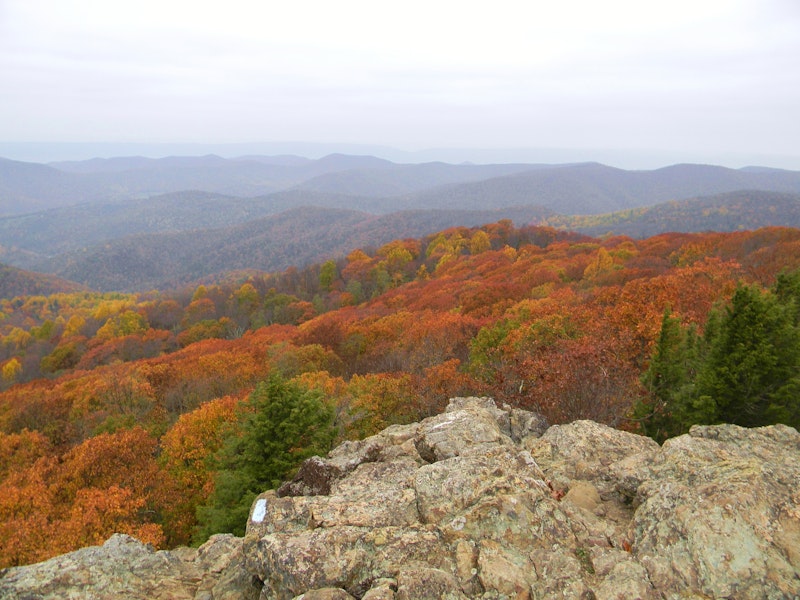 The 7 Best Hikes In Shenandoah National Park