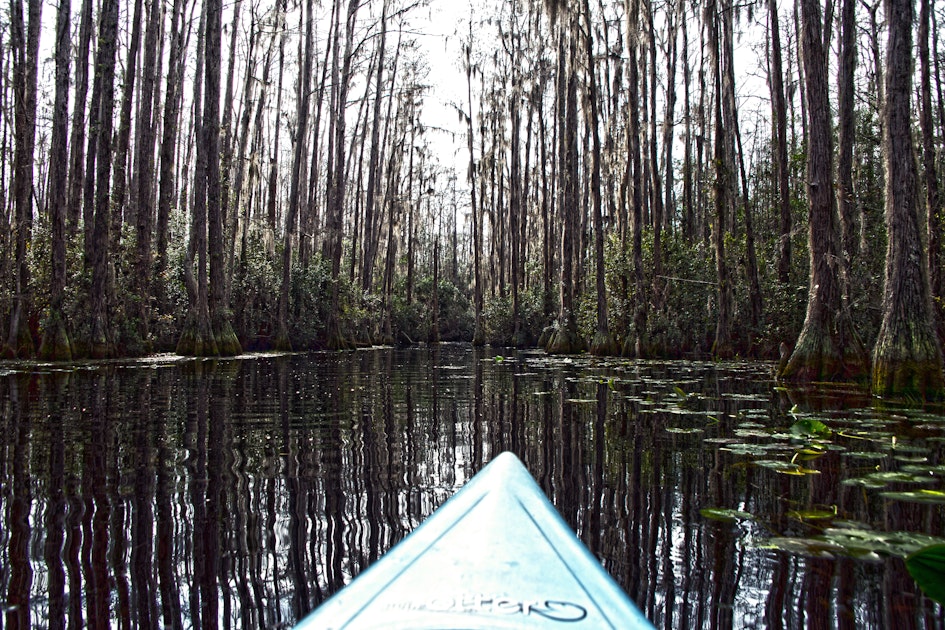 Kayak Camp along the Okefenokee Swamp, Stephen C Foster SP Parking Area